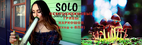 ешки Новодвинск
