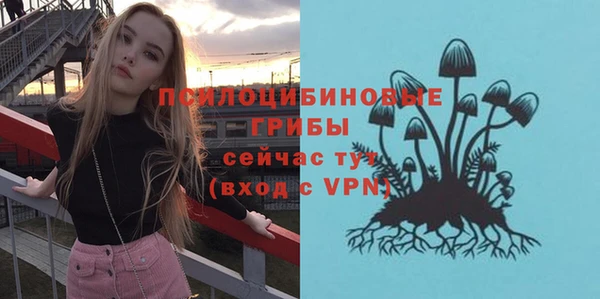 МДПВ Новозыбков