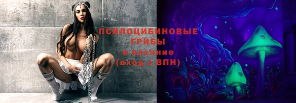 индика Нязепетровск
