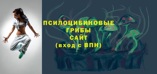 винт Няндома