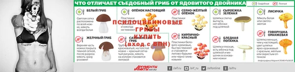 МДПВ Новозыбков
