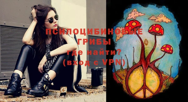 индика Нязепетровск