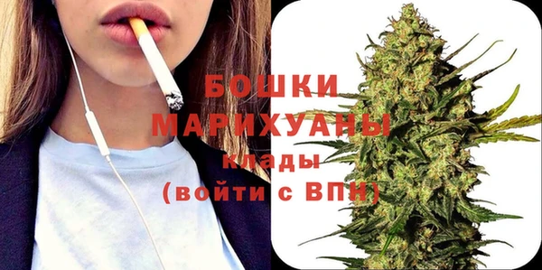 винт Няндома