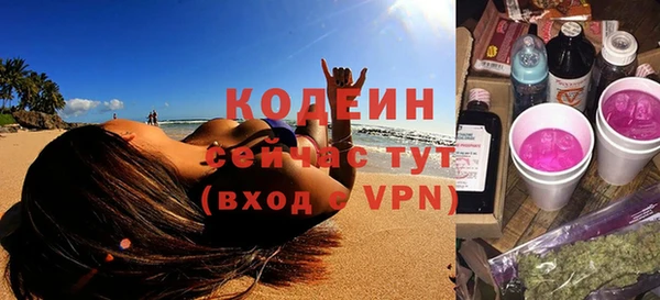 индика Нязепетровск