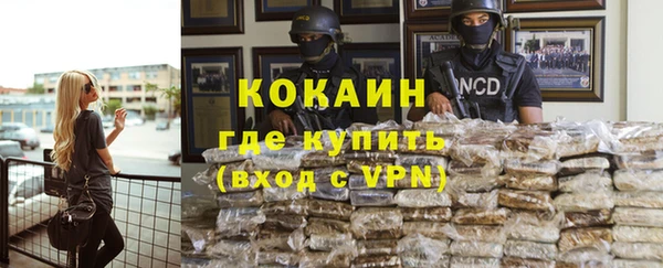 ешки Новодвинск