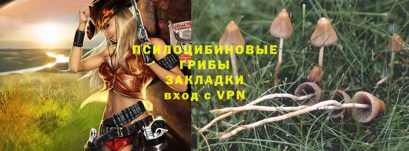 Галлюциногенные грибы Magic Shrooms  где найти наркотики  Неман 